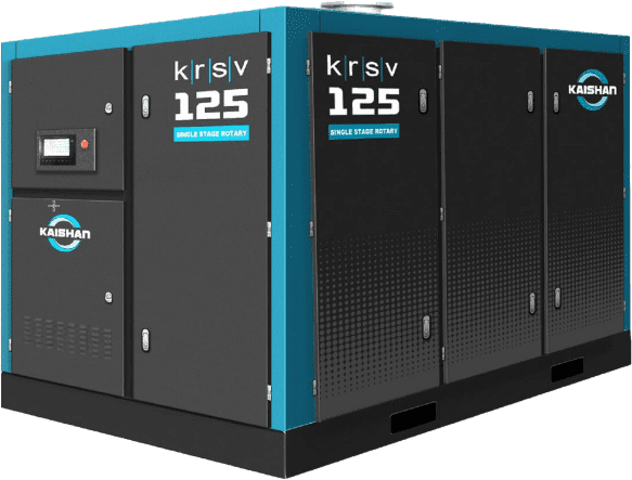 Rotary Screw Vacuum Pump
